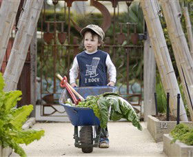 Royal Botanic Gardens Victoria - ACT Tourism 0