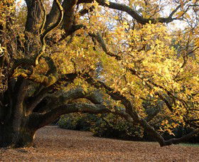 Royal Botanic Gardens Victoria - ACT Tourism 6