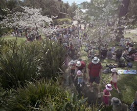 Royal Botanic Gardens Victoria - ACT Tourism 7