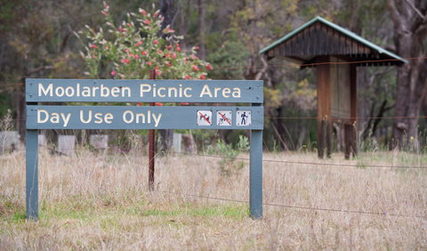 Moolarben Picnic Area - ACT Tourism 1