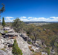 Munghorn Gap Nature Reserve - ACT Tourism