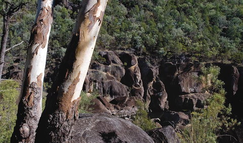 Macintyre Falls Lookout - ACT Tourism 3