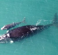 Fazshot Photography - ACT Tourism