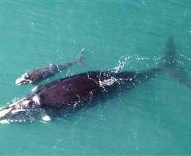 Fazshot Photography - ACT Tourism 0