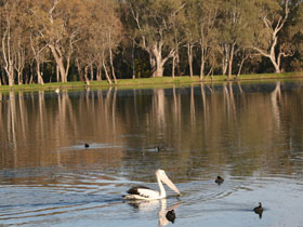 Drysdale Cheeses - ACT Tourism 7