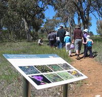 South Gundagai Woodlands Walk - ACT Tourism
