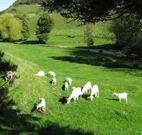 Karmic Goat Soapworks - ACT Tourism