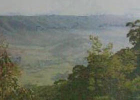 Mount Granya State Park - ACT Tourism 0