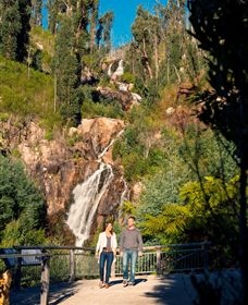 Steavenson Falls Marysville - ACT Tourism 1