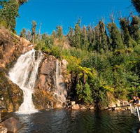 Steavenson Falls Marysville - ACT Tourism