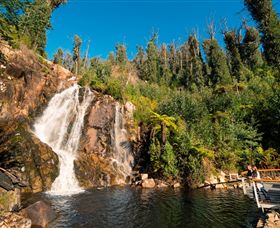 Steavenson Falls Marysville - ACT Tourism 0