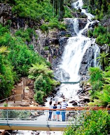 Steavenson Falls Marysville - ACT Tourism 2
