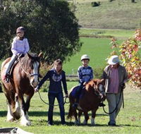 Bathurst Farm Experience - ACT Tourism