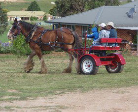 Bathurst Farm Experience - ACT Tourism 3