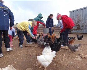 Bathurst Farm Experience - ACT Tourism 2