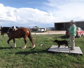 Bathurst Farm Experience - ACT Tourism 6