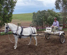 Bathurst Farm Experience - ACT Tourism 8
