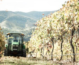 Logan Wines - ACT Tourism 5