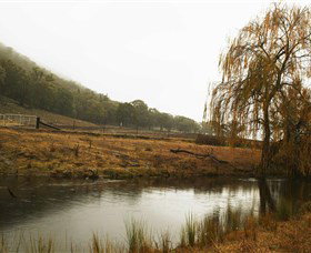 Logan Wines - ACT Tourism 6