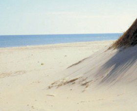 Lilley's Beach - ACT Tourism 2