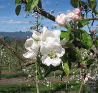 Mouat's Farm - ACT Tourism