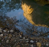 Abercrombie Karst Conservation Reserve - ACT Tourism