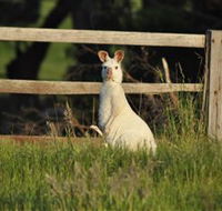 Panorama Garden Estate - ACT Tourism