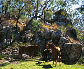  ACT Tourism