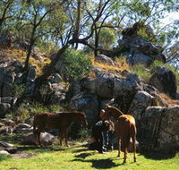 Coomba Falls - ACT Tourism