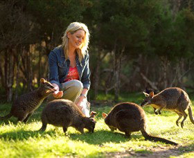 Moonlit Sanctuary Wildlife Conservation Park - ACT Tourism 0