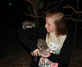 Moonlit Sanctuary Wildlife Conservation Park - ACT Tourism 6