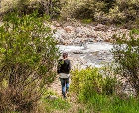 Old Mountain Road Walking Track - ACT Tourism 1