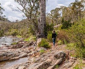 Old Mountain Road Walking Track - ACT Tourism 2