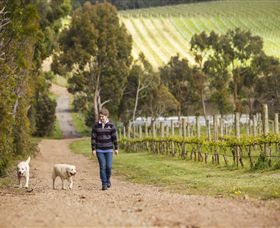 Willow Creek Vineyard - ACT Tourism 1
