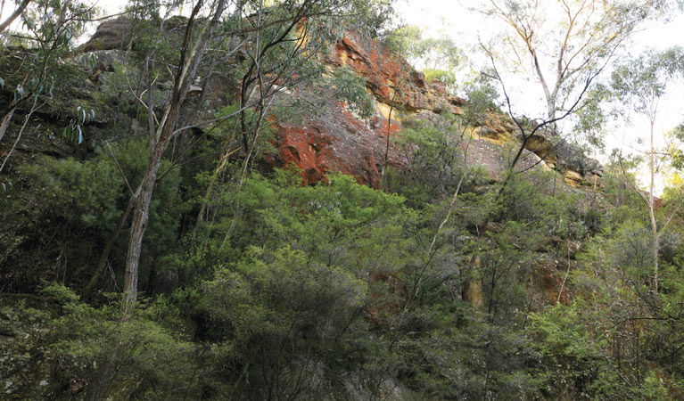 Corney Town NSW ACT Tourism
