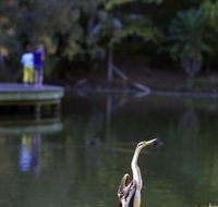 Birdwatching in the South Burnett - ACT Tourism