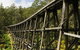 Noojee Trestle Bridge - thumb 0