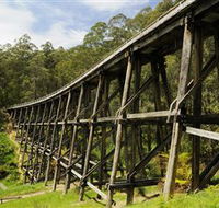 Noojee Trestle Bridge - ACT Tourism