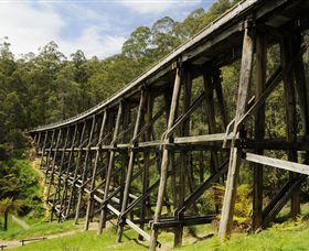 Noojee Trestle Bridge - ACT Tourism 0