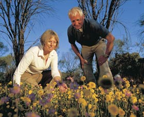 Canna Reserve - ACT Tourism 0