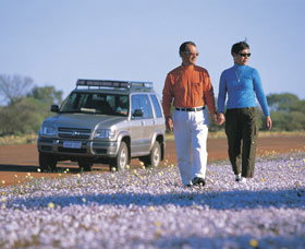 Canna Reserve - ACT Tourism 1