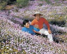 Canna Reserve - ACT Tourism 3