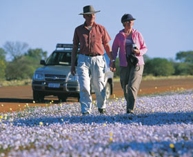 Canna Reserve - ACT Tourism 2