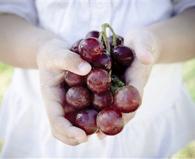 Granitevale  Estate Winery - ACT Tourism 0