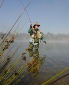 Lake Wallace - ACT Tourism 0
