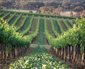 Two Rivers Wines - ACT Tourism 1
