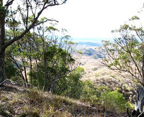 Boat Mountain Conservation Park - ACT Tourism 0