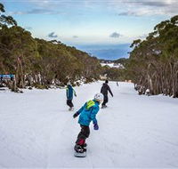 Mt Baw Baw Alpine Resort - ACT Tourism