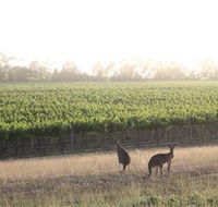 Small Forest Wine - ACT Tourism