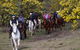 Burnelee Excursions On Horseback - thumb 0